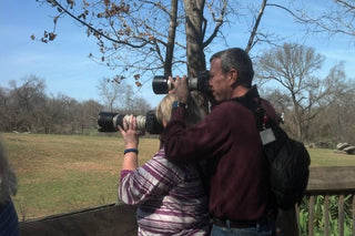 dobbs-family-photography