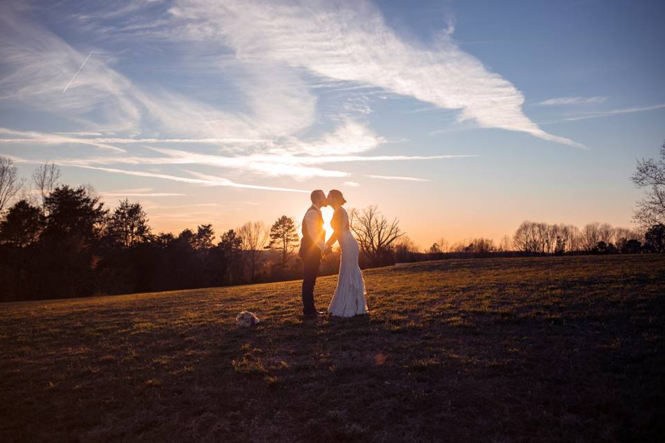 willow-tree-photography