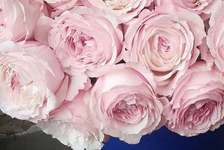 nashville-wedding-vendor-import-flowers