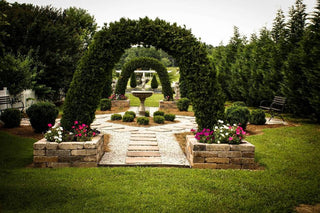 blackhaven-wedding-gardens