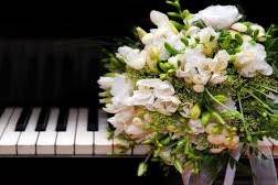 sid-entertainment-solo-contemporary--pianist.-wedding-ceremony-music