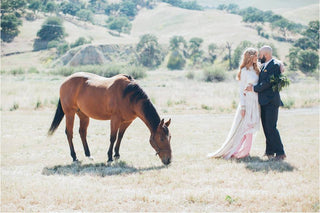 miss-alysse-wedding-photography