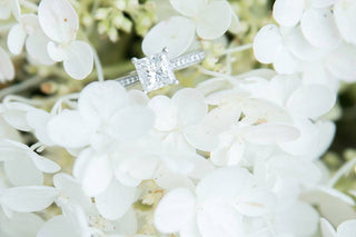 photography-by-michelle