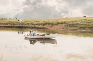 beau-cheval-in-wartrace