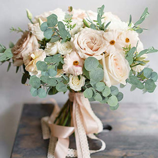 20 Pcs Fake Eucalyptus Leaves Stems 14.2"