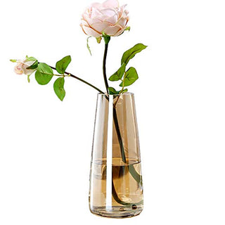 Ins Modern Glass Vase Irised Crystal Clear Glass Vase for Home Office Decor (Crystal Amber)