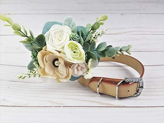 House of FurBaby Wedding Dog Collar | Succulent Wedding Dog Collar (L-13-16.5" Neck Size)