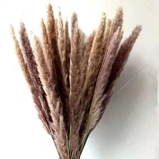 qiuxiaomiao Natural brown pampas grass,30 Pieces Dried Feather Trim, laguru, 19.7 in high Flowers, Artificial Reed stem Bundle for Flower Arrangement, Wedding Home Decor (brown)