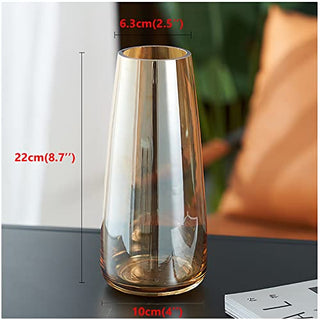 Ins Modern Glass Vase Irised Crystal Clear Glass Vase for Home Office Decor (Crystal Amber)