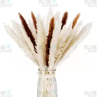 qiuxiaomiao Natural brown pampas grass,30 Pieces Dried Feather Trim, laguru, 19.7 in high Flowers, Artificial Reed stem Bundle for Flower Arrangement, Wedding Home Decor (brown)