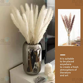 qiuxiaomiao Natural brown pampas grass,30 Pieces Dried Feather Trim, laguru, 19.7 in high Flowers, Artificial Reed stem Bundle for Flower Arrangement, Wedding Home Decor (brown)
