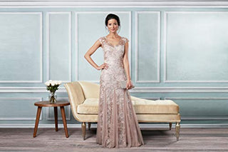 Long V Neck Fit and Flare Dress with Shawl (Petite Regular), Rose Gold, 6