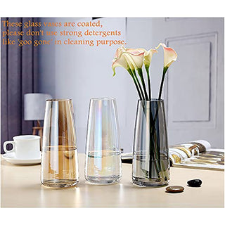 Ins Modern Glass Vase Irised Crystal Clear Glass Vase for Home Office Decor (Crystal Amber)