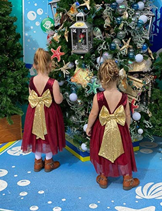 Cilucu Flower Girl Dress Baby Toddlers Sequin Dress Tutu Kids Party Dress Bridesmaid Wedding Gown Birthday Dress Wine Gold Burgundy 4T-5T