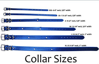 House of FurBaby Wedding Dog Collar | Succulent Wedding Dog Collar (L-13-16.5" Neck Size)