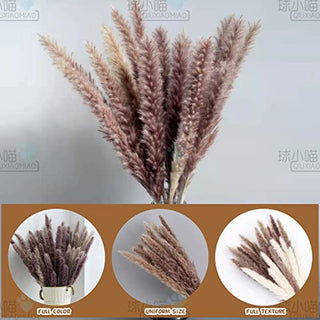 qiuxiaomiao Natural brown pampas grass,30 Pieces Dried Feather Trim, laguru, 19.7 in high Flowers, Artificial Reed stem Bundle for Flower Arrangement, Wedding Home Decor (brown)