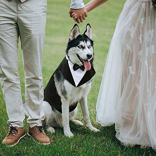 Kuoser Dog Tuxedo Dog Suit and Bandana Set, Dogs Tuxedo Wedding Party Suit, Dog Prince Wedding Bow Tie Shirt Formal Dog Wedding Attire for Large and Medium Dogs Golden Retriever Samo Bulldogs