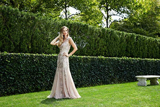 Long V Neck Fit and Flare Dress with Shawl (Petite Regular), Rose Gold, 6