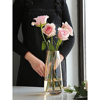 Ins Modern Glass Vase Irised Crystal Clear Glass Vase for Home Office Decor (Crystal Amber)