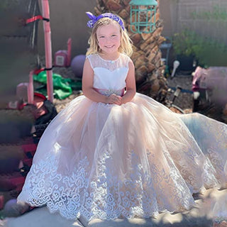 Flower Girl Dress for Wedding Kids Lace Pageant Ball Gowns (Size 2, Blush Pink)