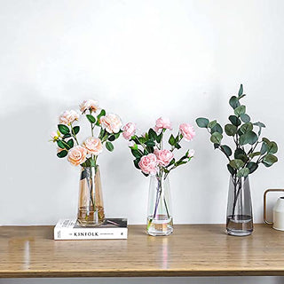 Ins Modern Glass Vase Irised Crystal Clear Glass Vase for Home Office Decor (Crystal Amber)