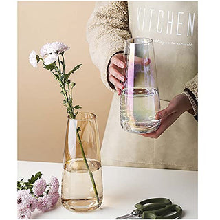 Ins Modern Glass Vase Irised Crystal Clear Glass Vase for Home Office Decor (Crystal Amber)