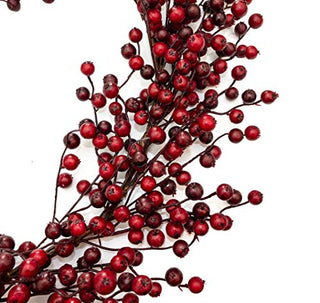 Vita Domi 6' Long Water Resistant Stunning Berry Garlands on Grapevine (Matte Red Berry)
