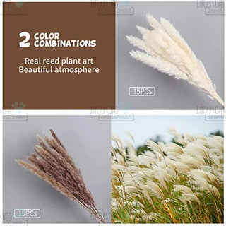 qiuxiaomiao Natural brown pampas grass,30 Pieces Dried Feather Trim, laguru, 19.7 in high Flowers, Artificial Reed stem Bundle for Flower Arrangement, Wedding Home Decor (brown)