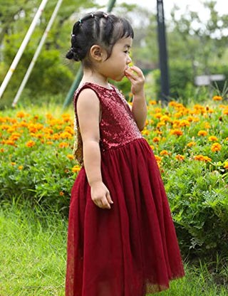 Cilucu Flower Girl Dress Baby Toddlers Sequin Dress Tutu Kids Party Dress Bridesmaid Wedding Gown Birthday Dress Wine Gold Burgundy 4T-5T