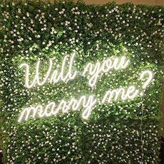 Will you marry me? Neon Light Signs for Wedding, 19.7inches Neon Lights for Bedroom,Get Married Party, Bar, LED Neon Sign with Dimmer Switch for Art Gift (Warm White,19.7x11.0)